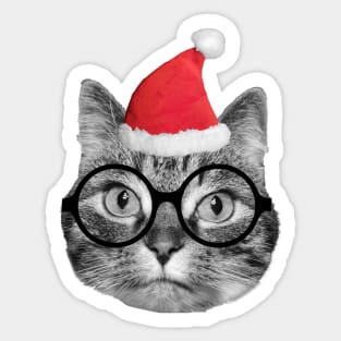 Cute fluffy tabby cat celebrating Christmas Eve Sticker